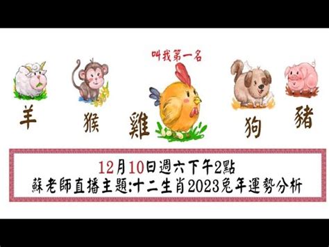 易經課程香港2023 豬年年份